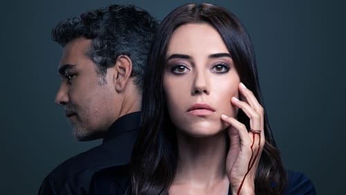 A Woman Scorned 1. Sezon 14. Bölüm